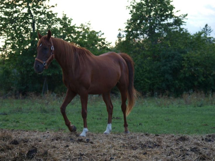 253898_484354201575991_1266092997_n