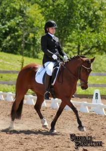 1929069_10153931834609594_7209424203948445142_n