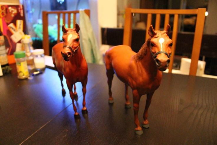 12805934_10153971354359594_5206851236882809368_n