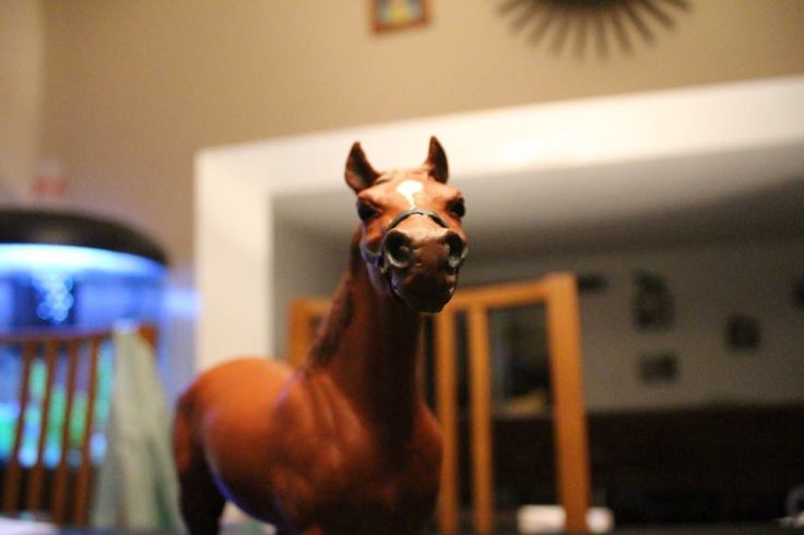 12821508_10153971354314594_672040085533581355_n