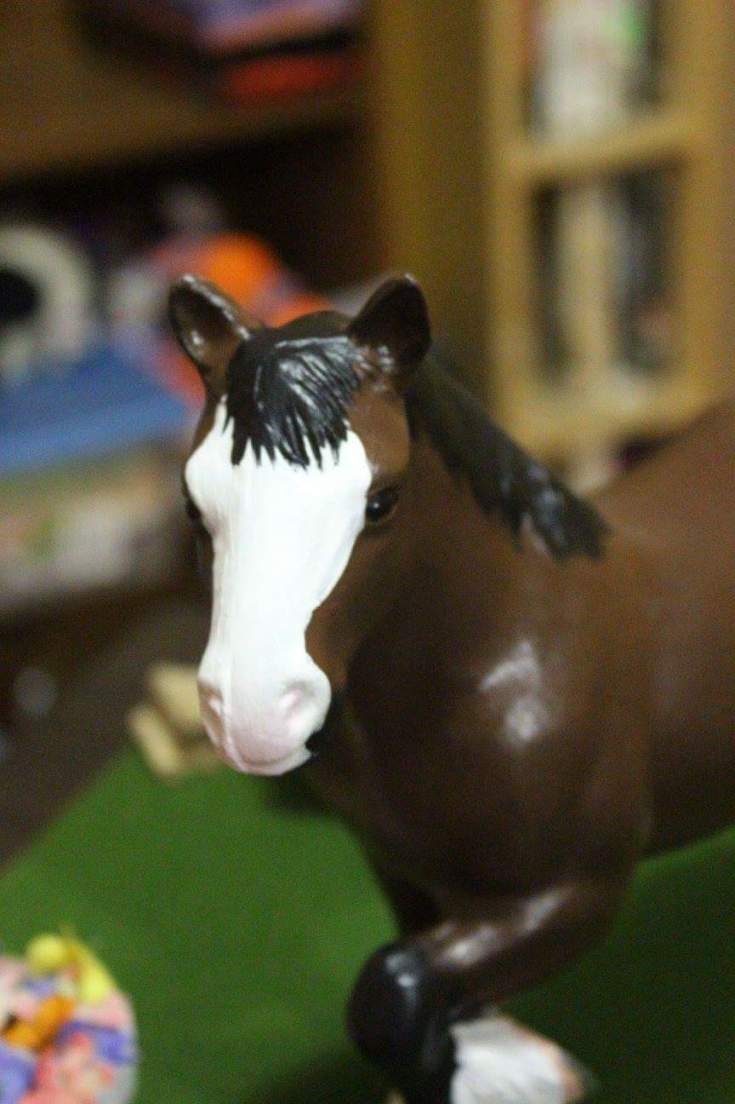 FB_IMG_1467041566749