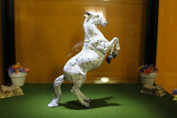 13512085_10154315812384594_2652790848869605987_n