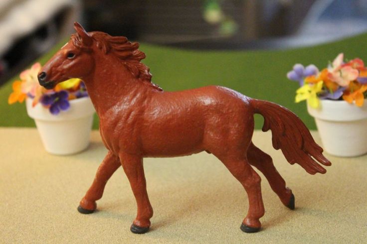 13256428_10154225535589594_5942495880745552743_n