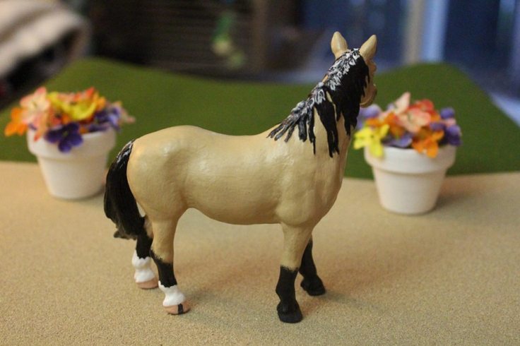 13256428_10154225536289594_3907320939012408021_n