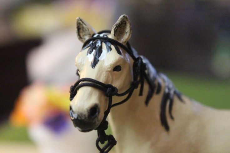 13266081_10154225536394594_4050199669996853141_n