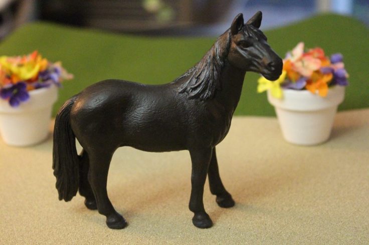 13266103_10154225535969594_2173251814251708861_n