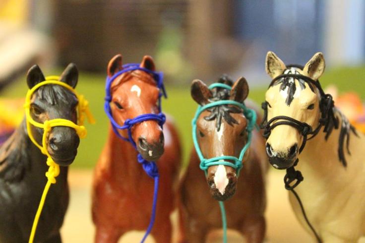 13267967_10154225536419594_5739186476383711646_n