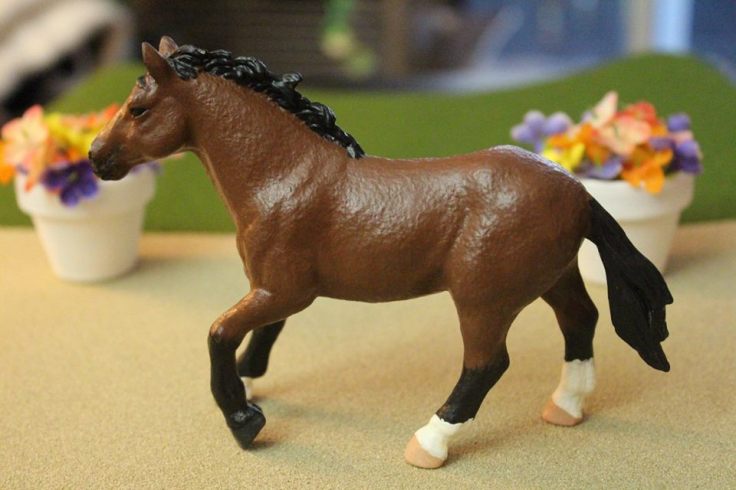 13307404_10154225535819594_1653738350386556187_n