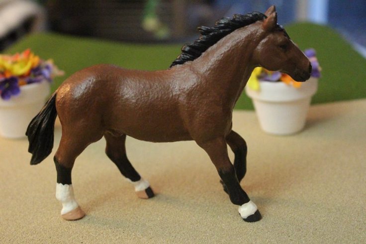 13315701_10154225535764594_8173547244674313050_n