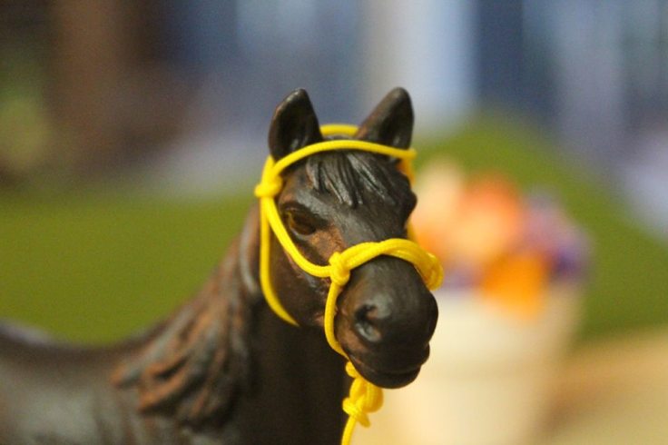 13319728_10154225535949594_6302800904759834741_n