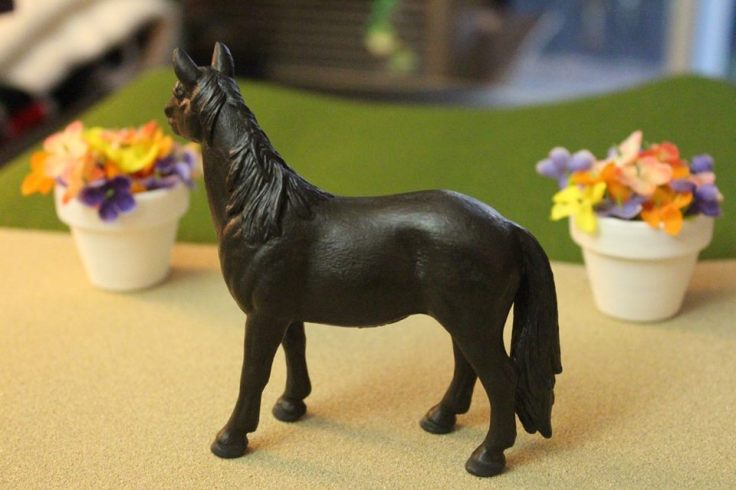 13322201_10154225535979594_6755833099696043289_n