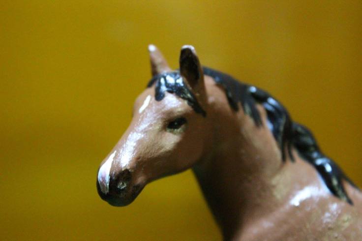 13522770_10154315817054594_6747420877853682551_o