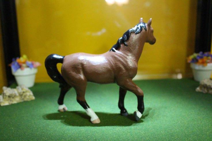 13528212_10154315816919594_899189591354629444_o