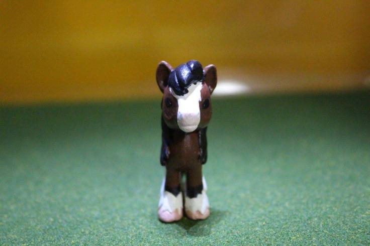 13558649_10154315812669594_2535144211387077545_o