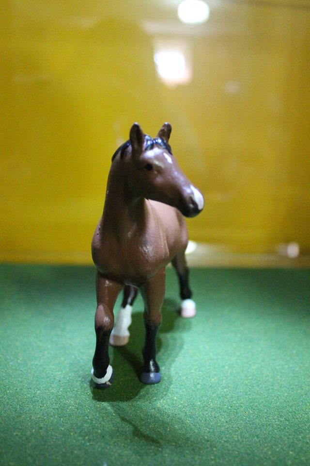 13567103_10154315816929594_7483509879848240849_n