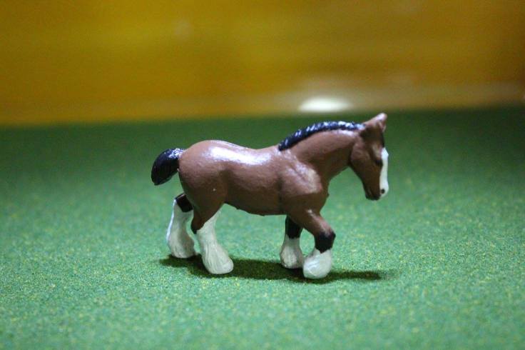 13576629_10154315813144594_5946531701532934568_o