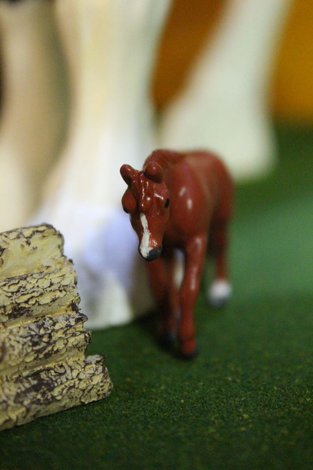 14089016_10154483669229594_6114469391996239081_n