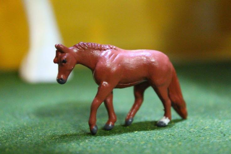 14102908_10154483669234594_4410762729076893643_o