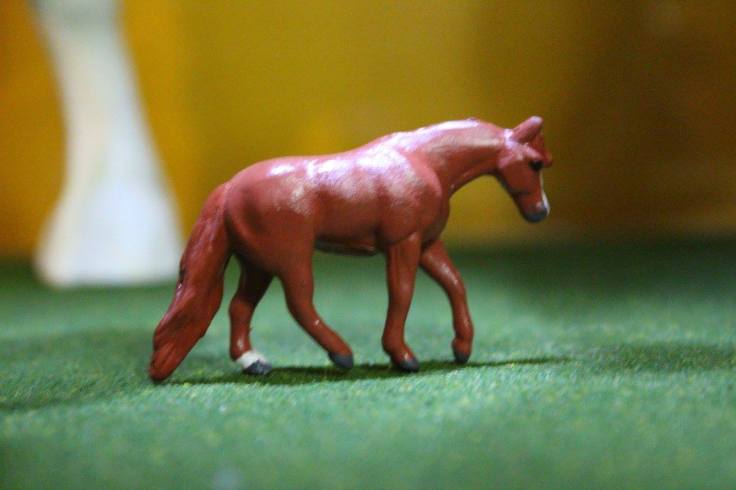 14188562_10154483669274594_7374996628801827779_o